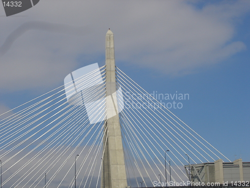 Image of Bridge in Boston