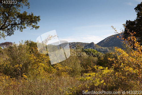 Image of Natural Park of Arrabida.