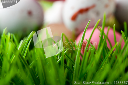 Image of Grass background with Easter eggs