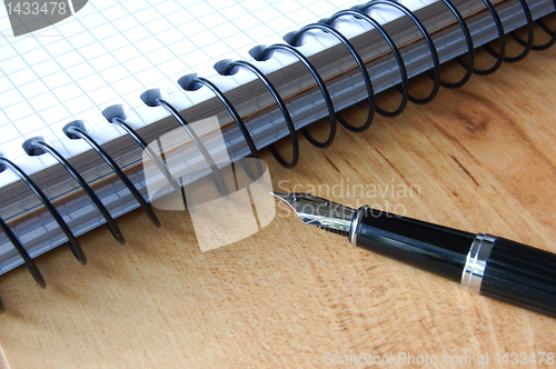 Image of fountain pen 