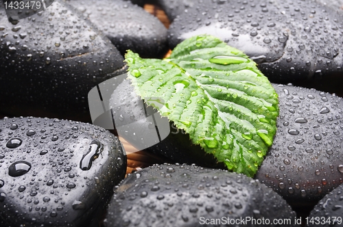 Image of zen stone