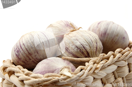 Image of garlic isolated on white
