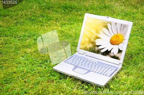 Image of flowers and laptop