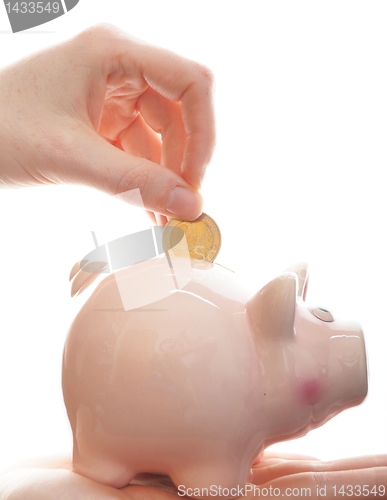Image of piggy bank