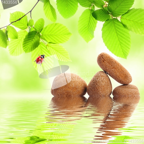 Image of zen stones