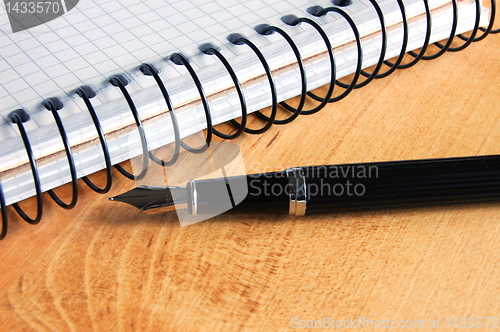 Image of fountain pen 