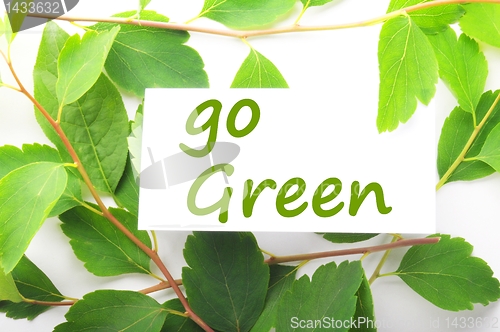 Image of go green