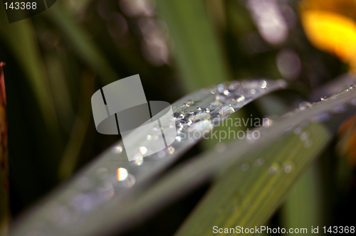 Image of Waterslide