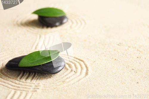 Image of japanese zen garden