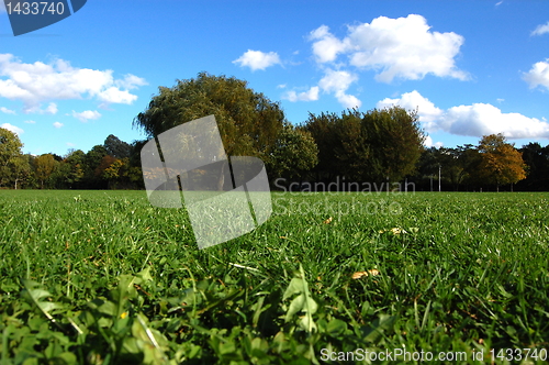 Image of forest and garden under blue sky at fall