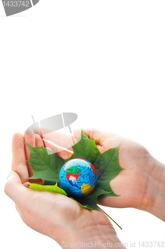 Image of hand holding globe
