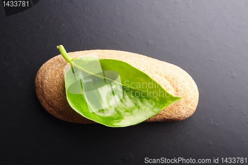 Image of zen still life