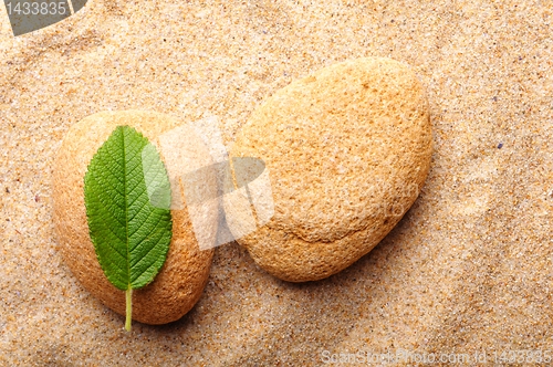 Image of zen