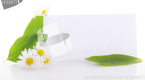 Image of paper
