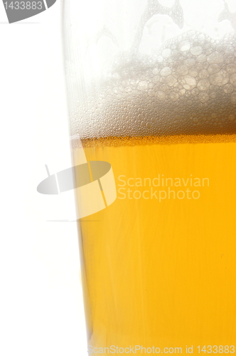 Image of glass of beer isolated on white background