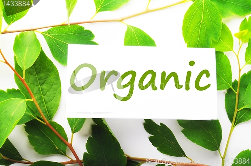 Image of organic