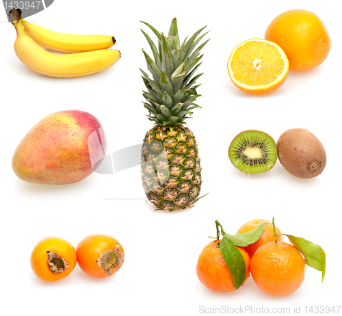 Image of Collection of Tropical Fruits