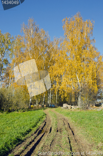 Image of Rural road autumn birches and  hives near them.