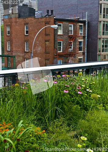 Image of High line park in New York