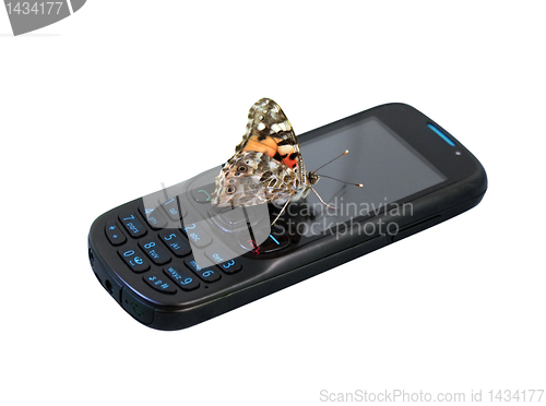 Image of butterfly on mobile