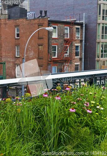 Image of High line park in New York