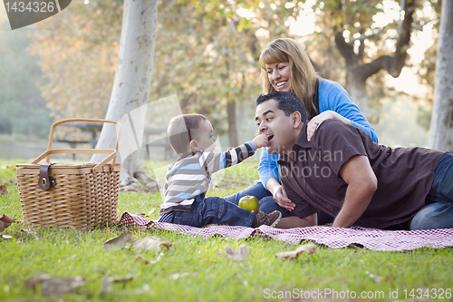 Image of Happy Mixed Race Ethnic Family Having Picnic In The Park