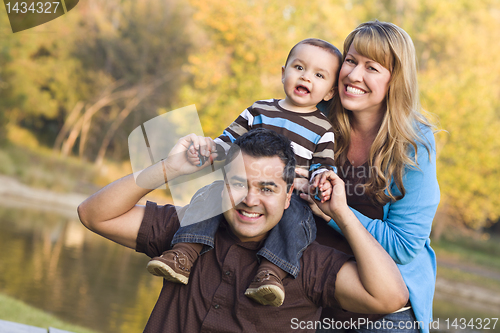 Image of Happy Mixed Race Ethnic Family Posing for A Portrait