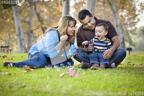 Image of Happy Mixed Race Ethnic Family Playing with Bubbles In The Park