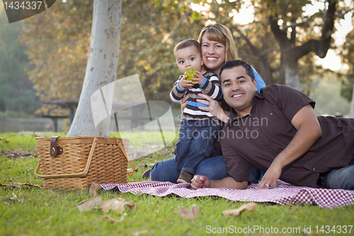 Image of Happy Mixed Race Ethnic Family Having a Picnic In The Park