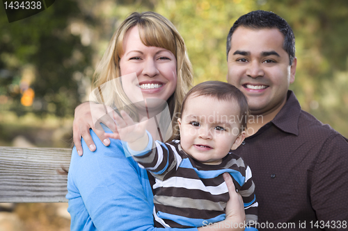 Image of Happy Mixed Race Ethnic Family Posing for A Portrait