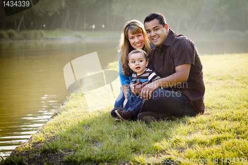 Image of Happy Mixed Race Ethnic Family Posing for A Portrait