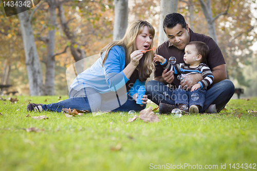 Image of Happy Mixed Race Ethnic Family Playing with Bubbles In The Park