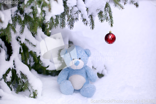 Image of Christmas Bear 