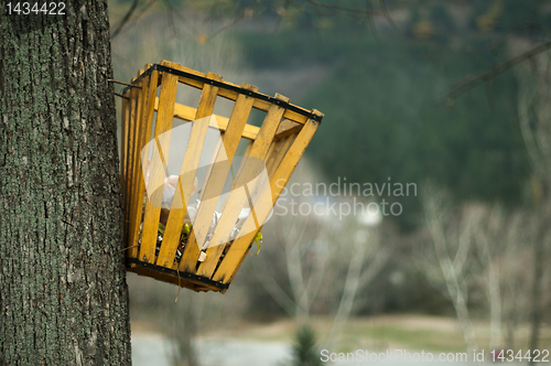 Image of Trash hung on a tree