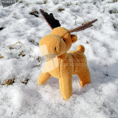 Image of Deer in snow greeting card