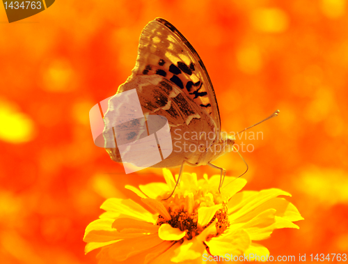 Image of hot summer background