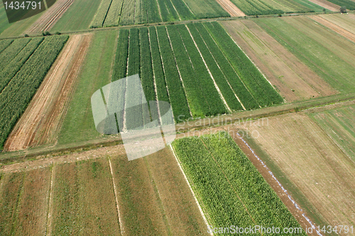 Image of Meadows and fields