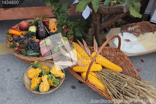Image of Autumn Harvest