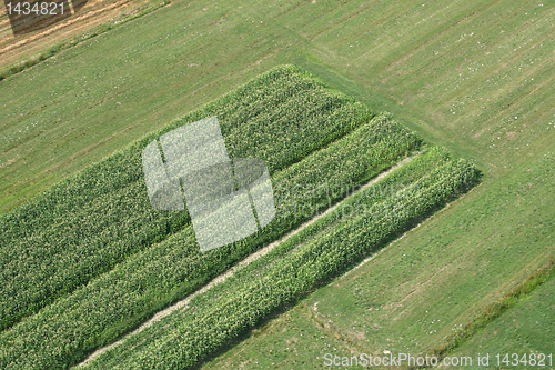 Image of Meadows and fields