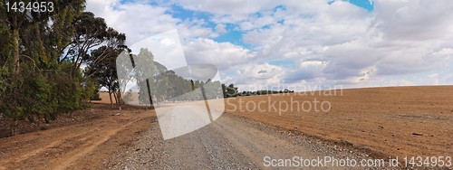 Image of Road at the edge of plowed field and eucalyptus grove