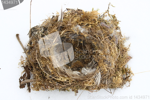 Image of Bird's nest