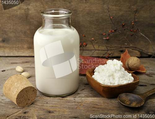 Image of Milk And Cottage Cheese