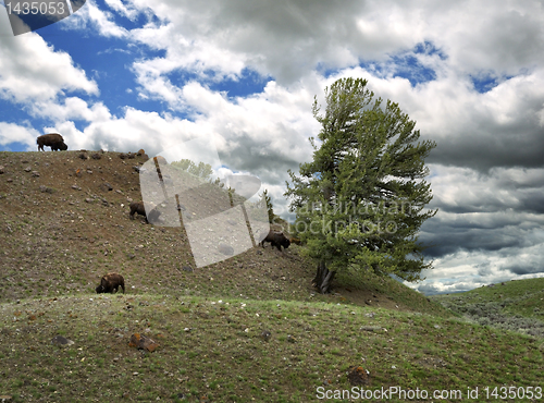 Image of Mountain Landscape