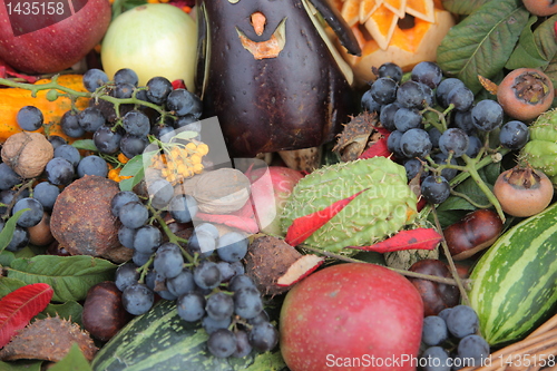 Image of Autumn Harvest