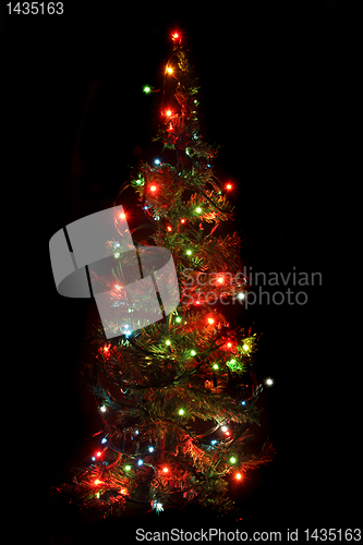 Image of xmas tree