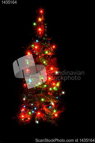 Image of xmas tree