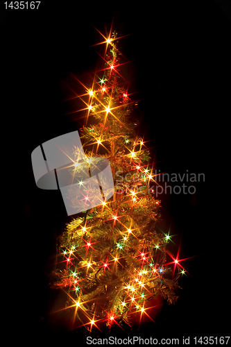 Image of xmas tree