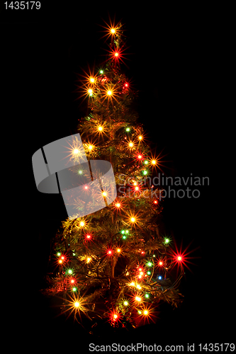 Image of xmas tree