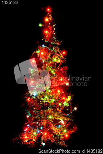 Image of xmas tree