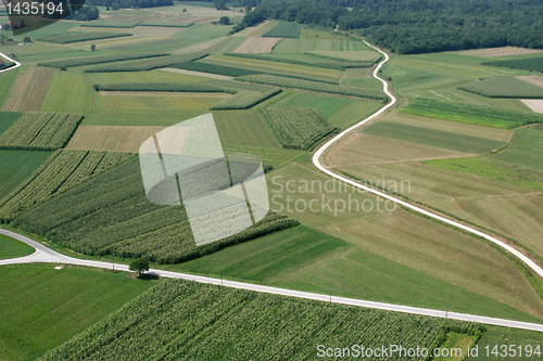 Image of Meadows and fields